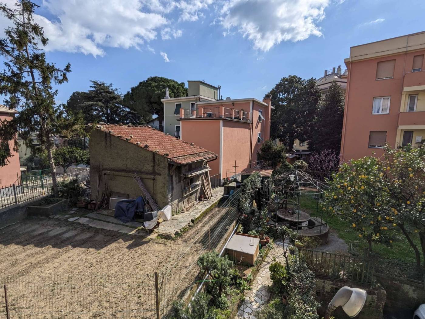 Vista