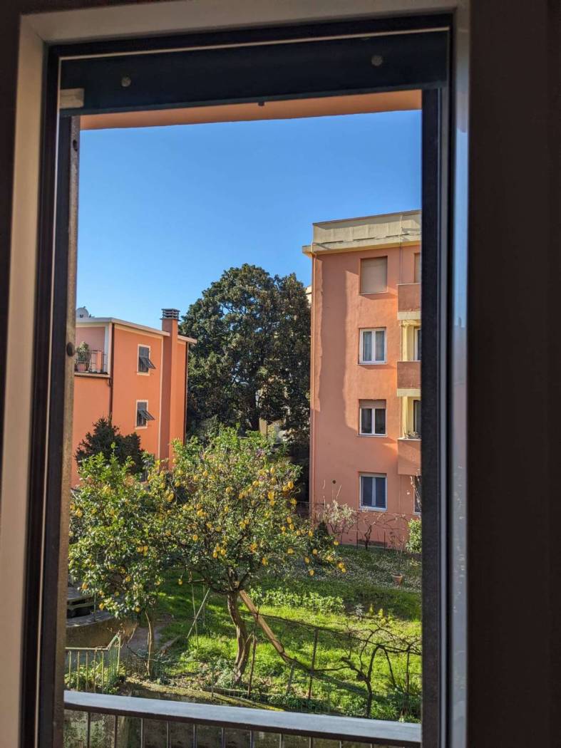 Vista
