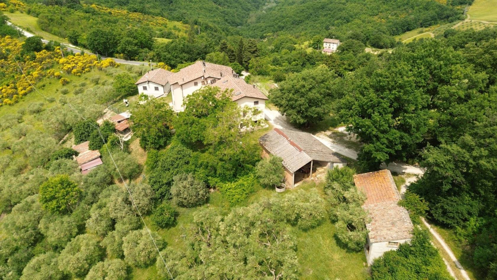 Vista