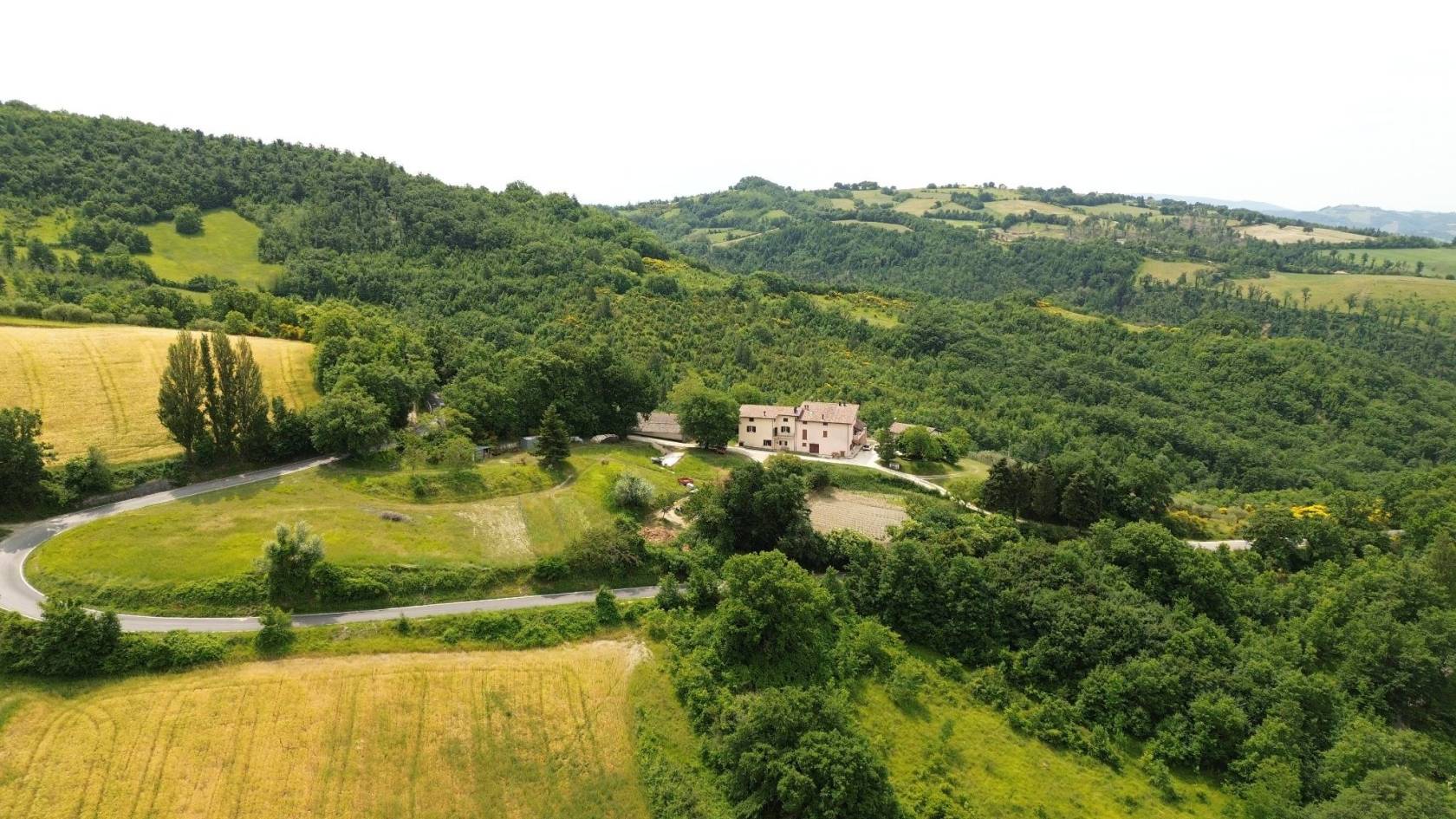Vista