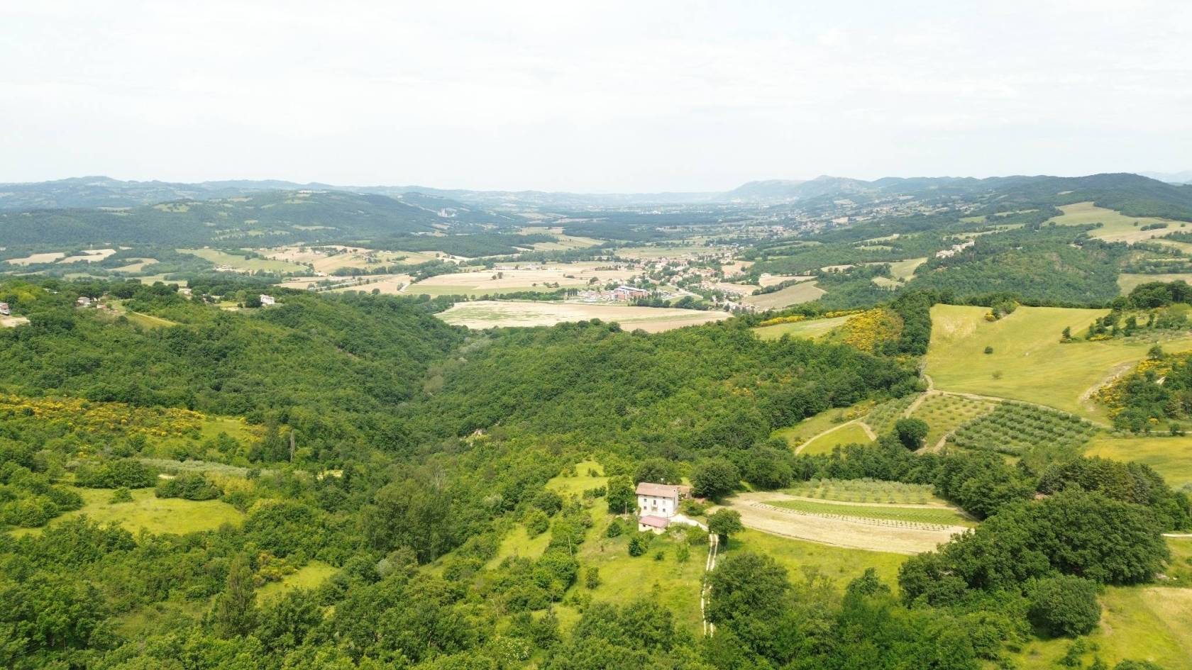 Vista