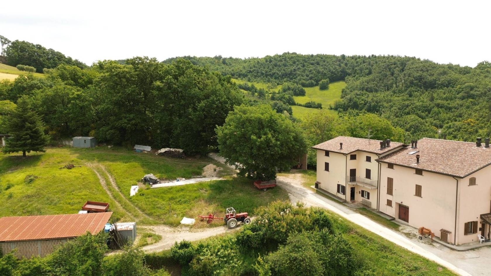 Vista
