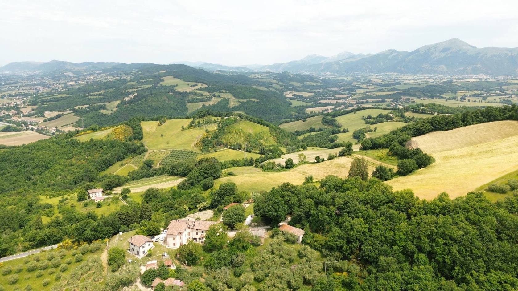 Vista