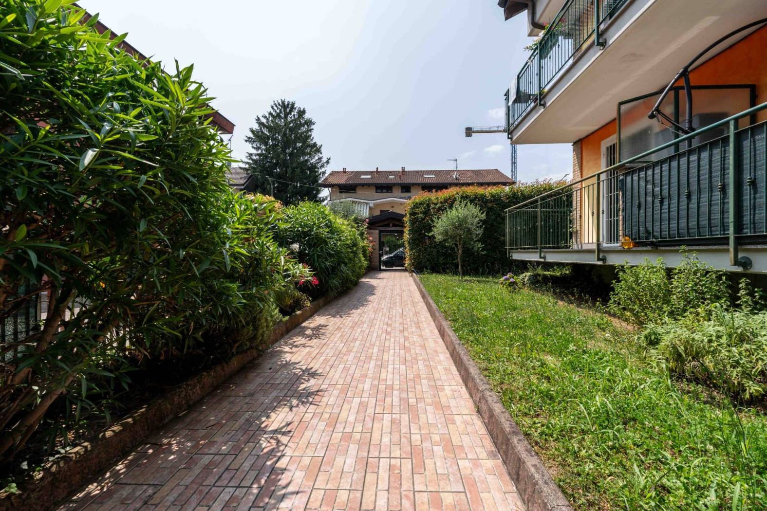 Giardino