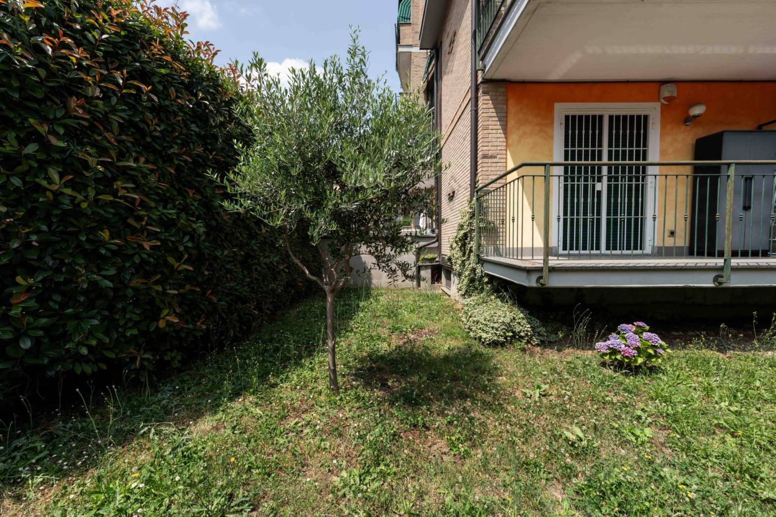 Giardino
