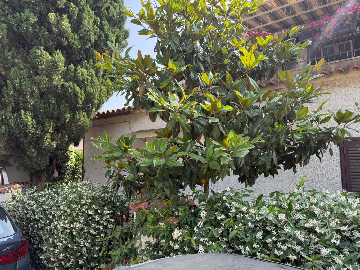 Giardino Giardino