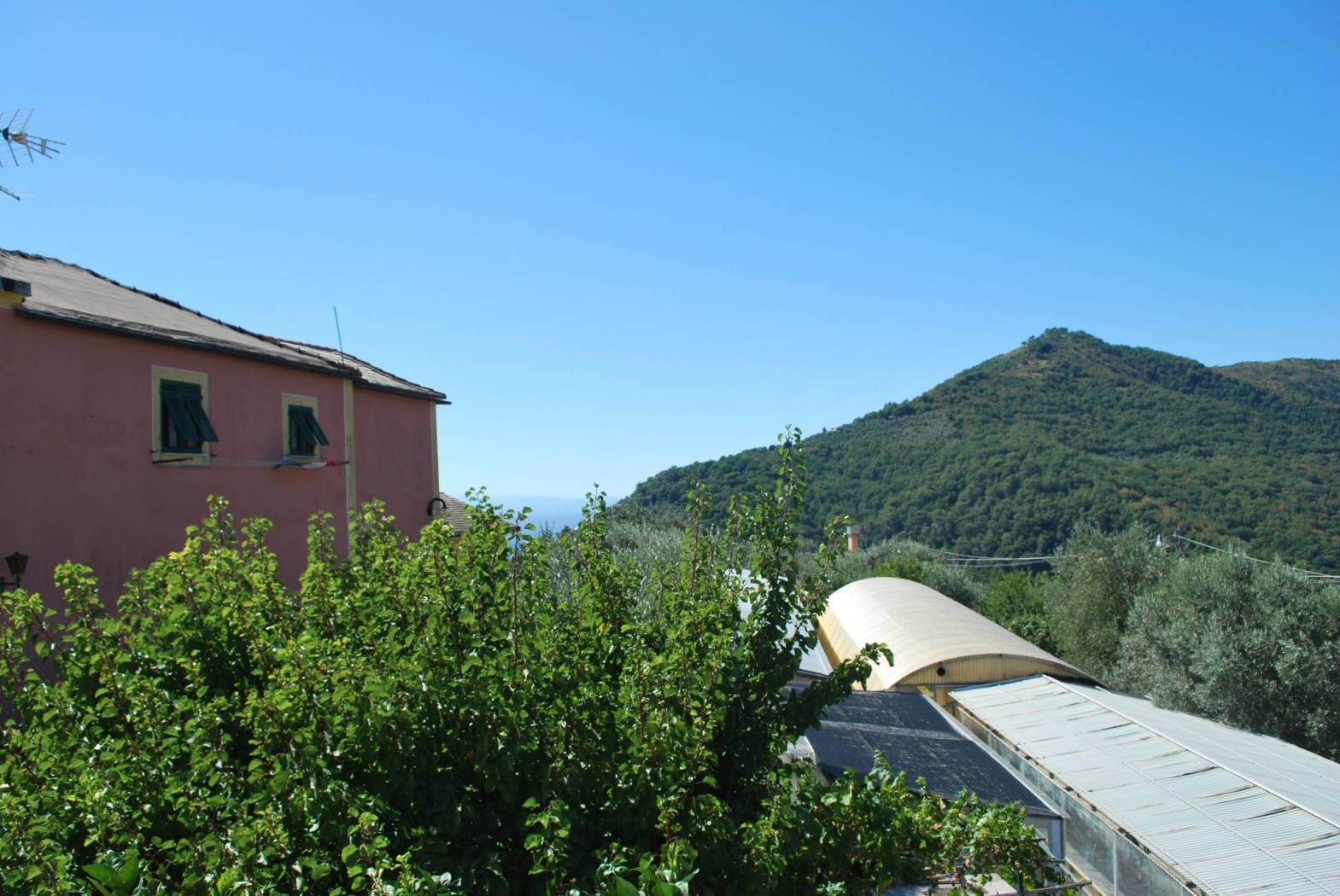 Vista