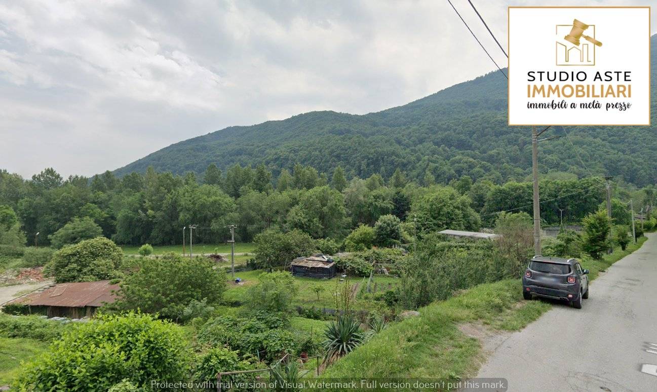 Vista