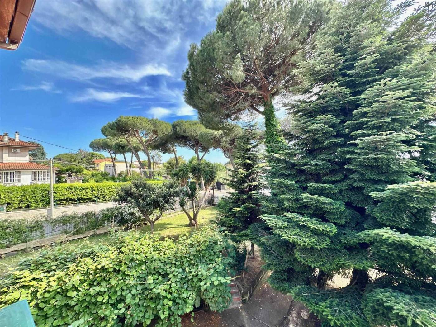Giardino