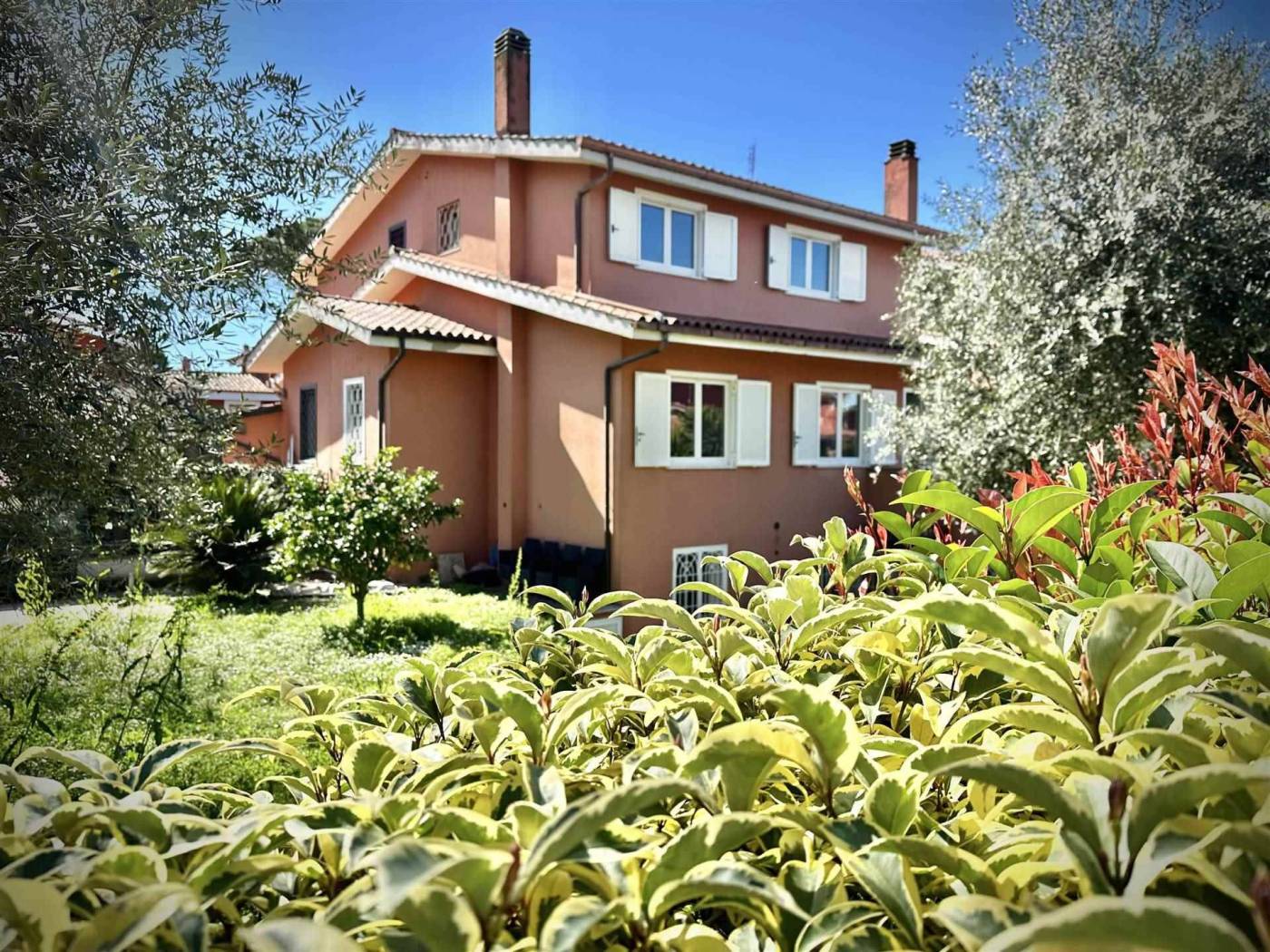 Giardino