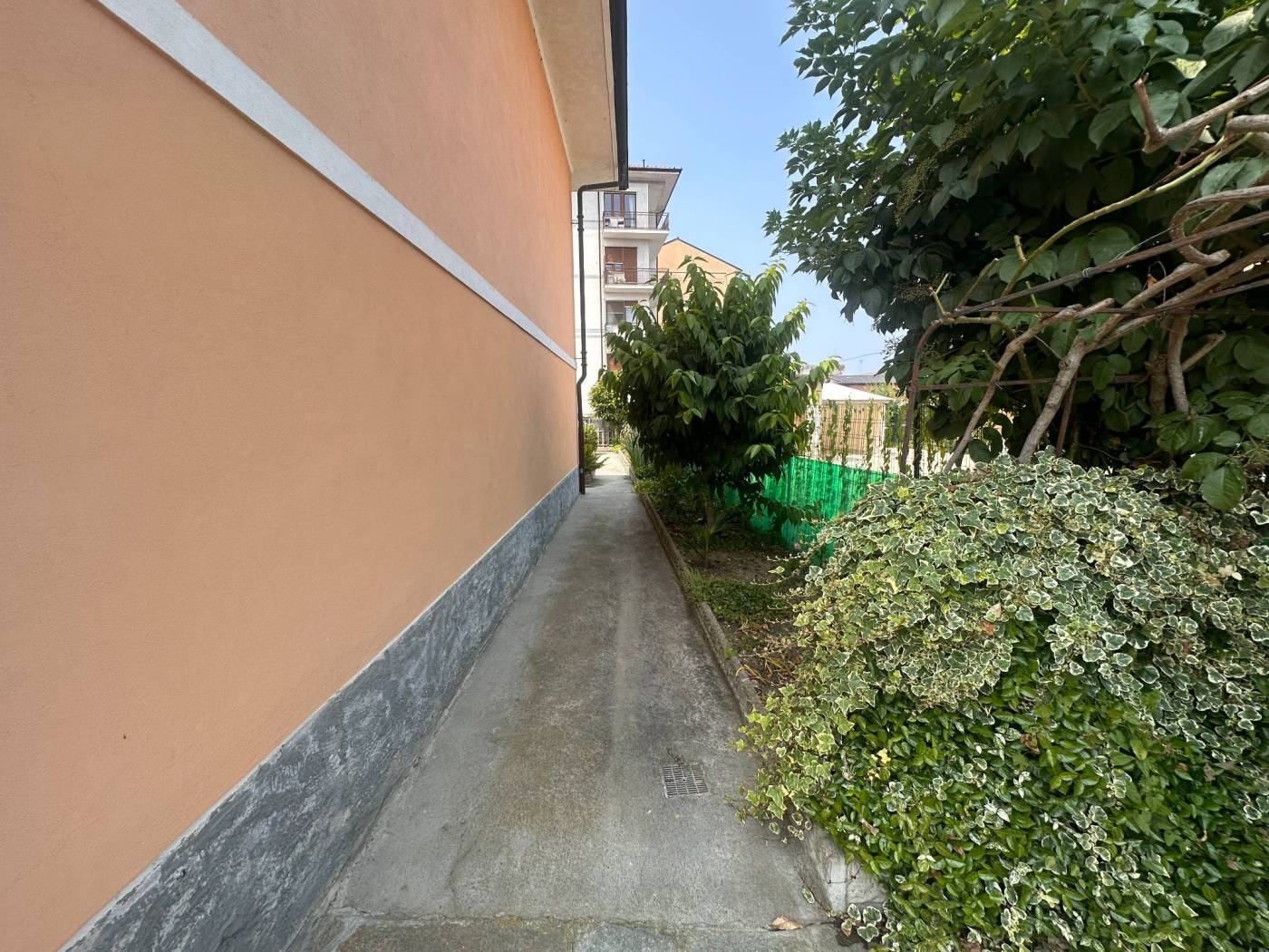 Giardino
