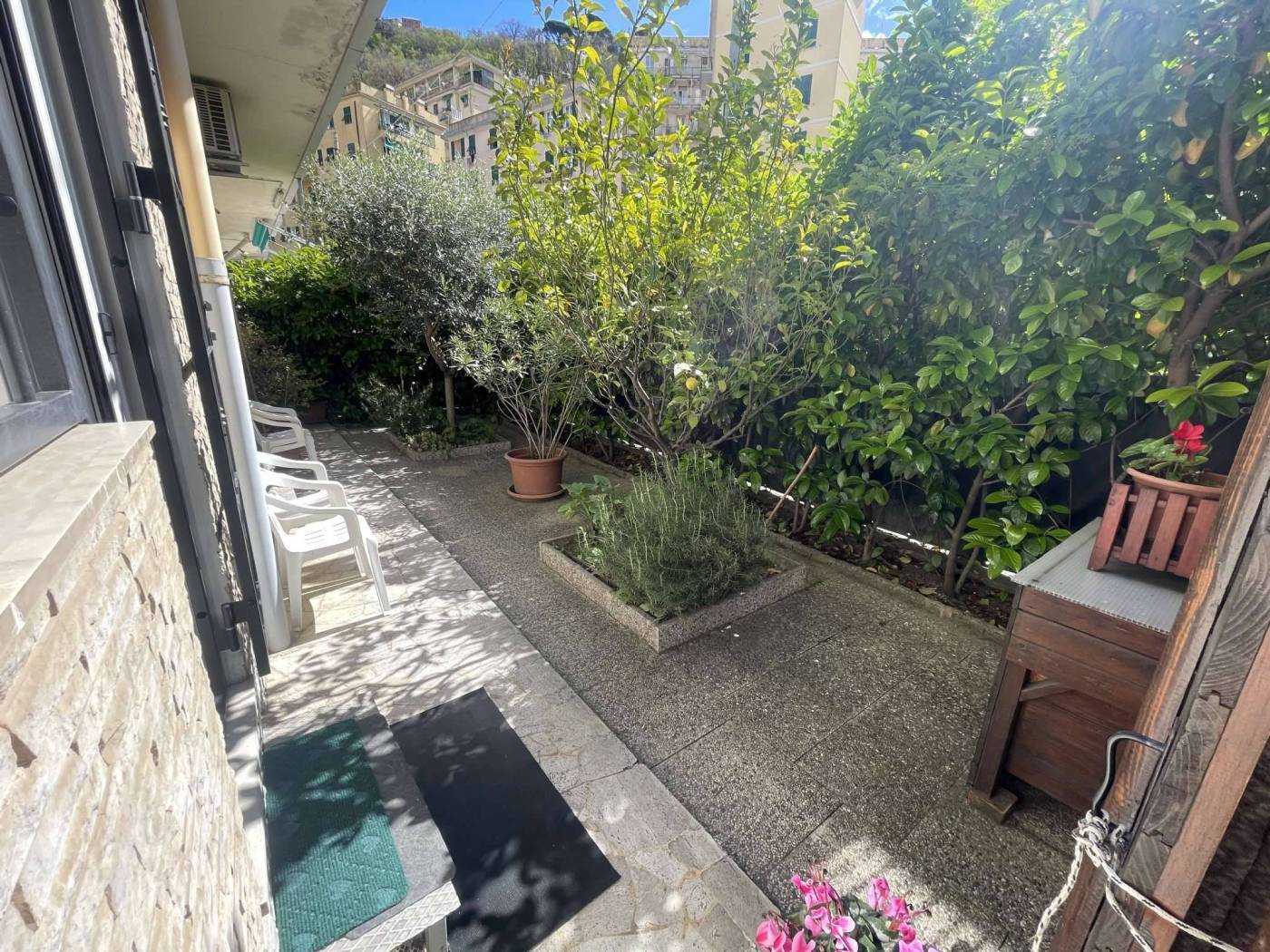 Giardino