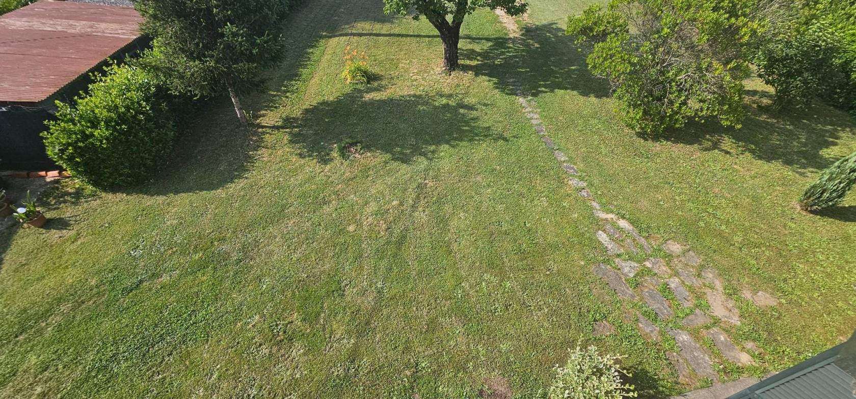 Vista