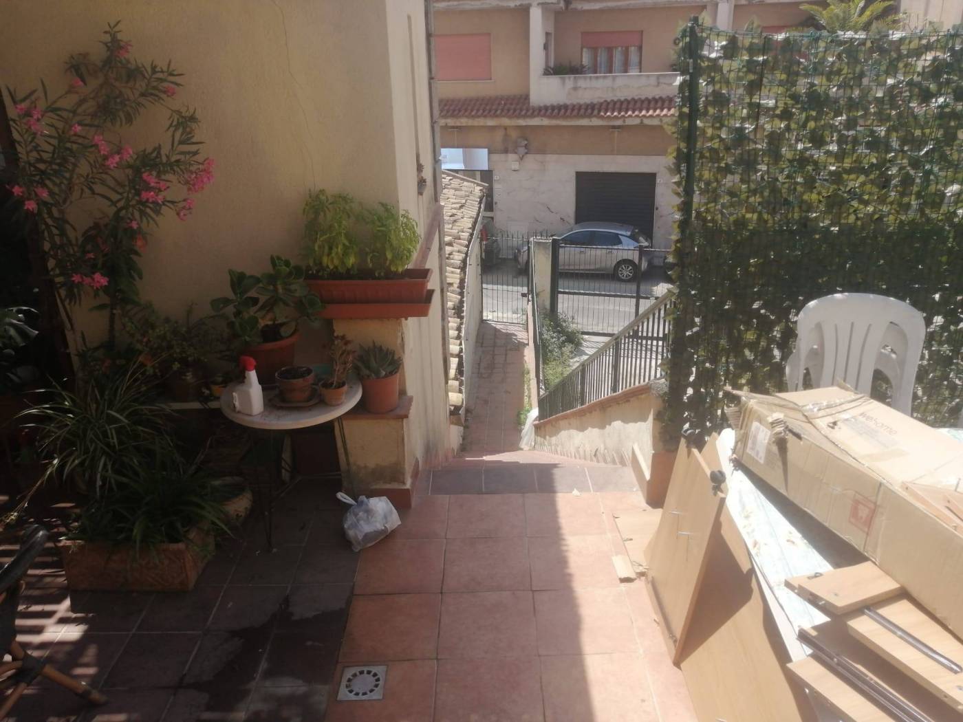 Giardino