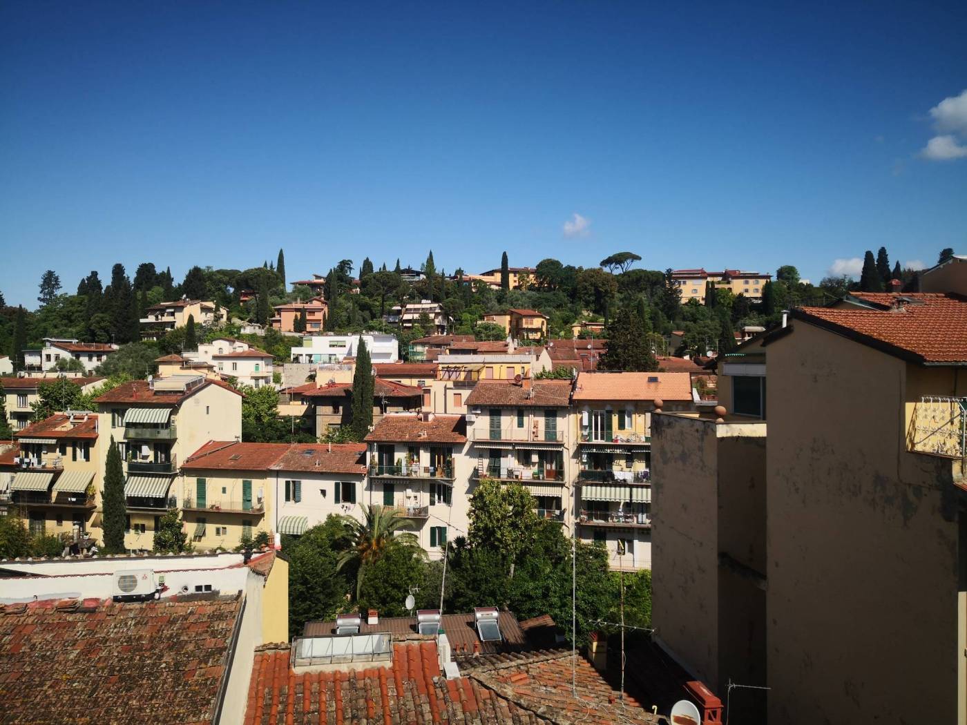 Vista