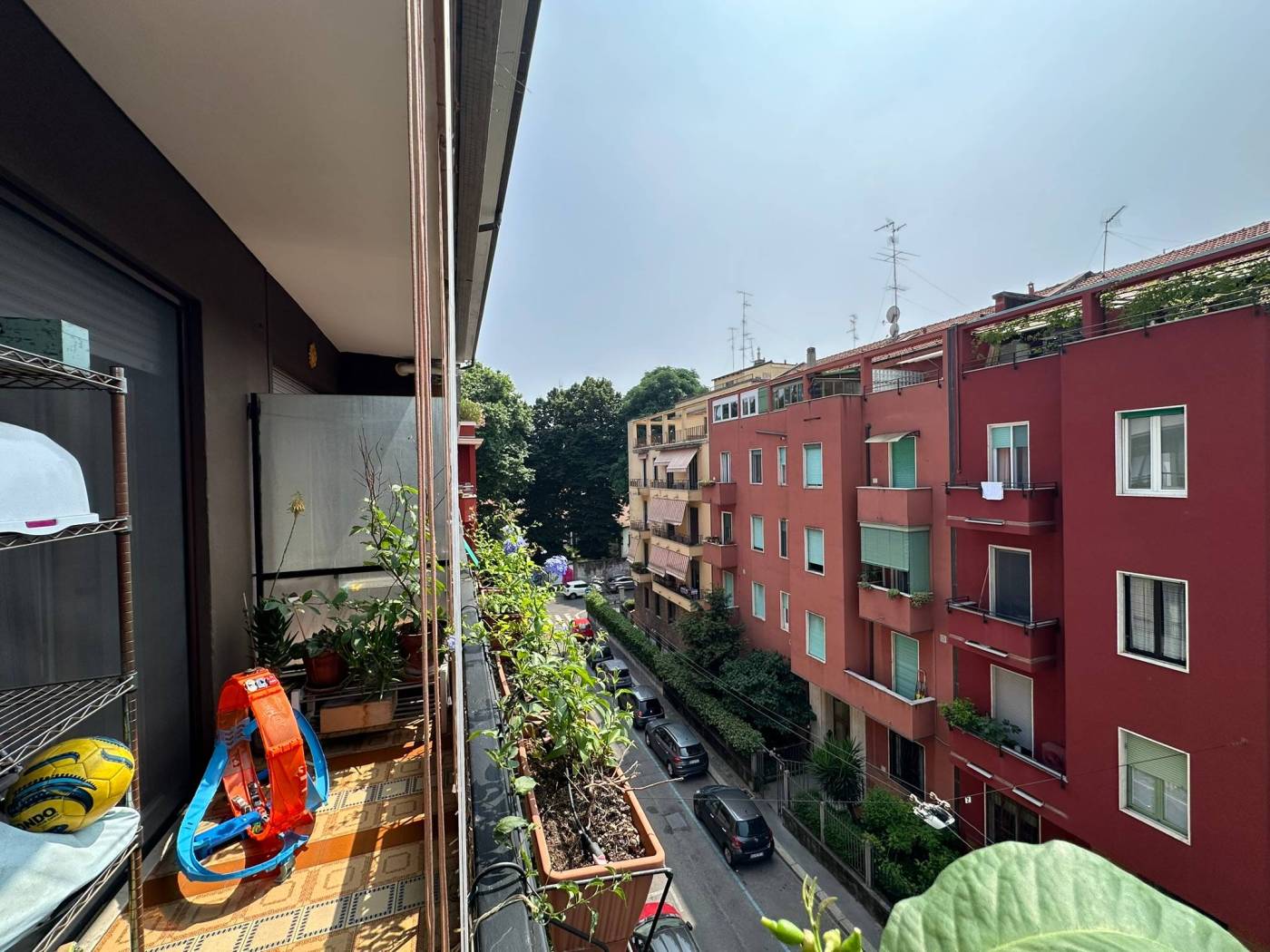 Vista