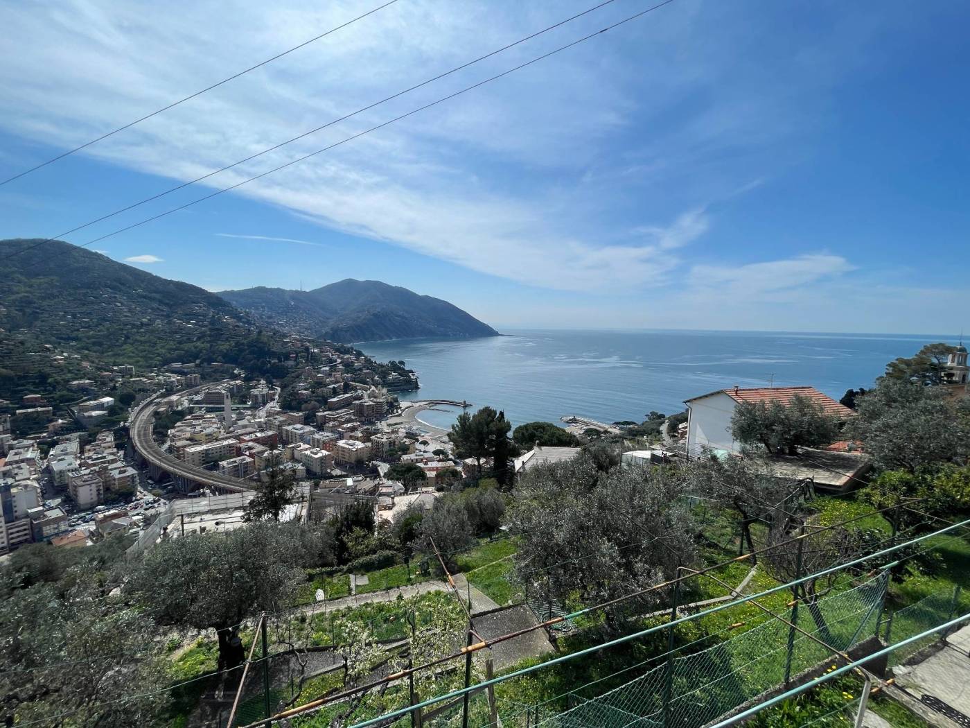 Vista