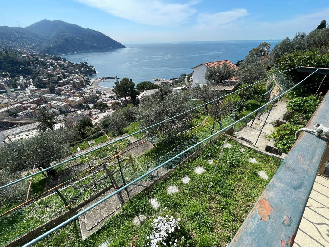 Vista