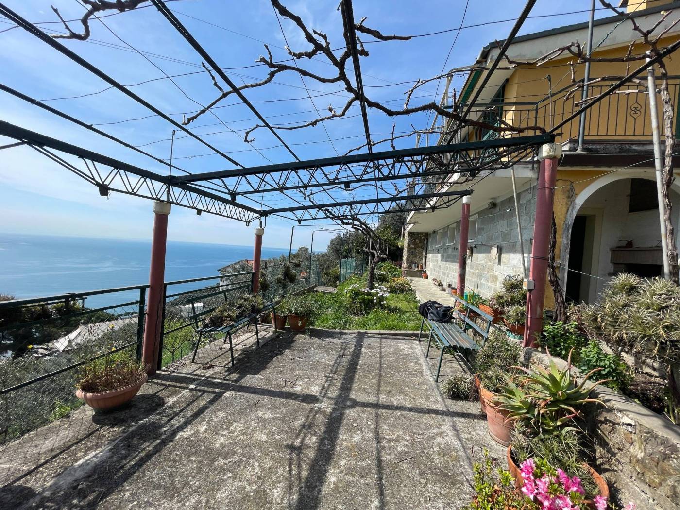 Giardino