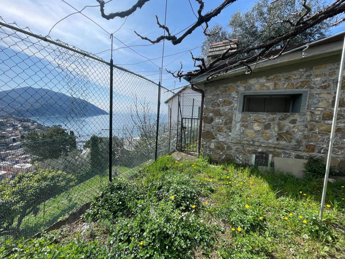 Terreno