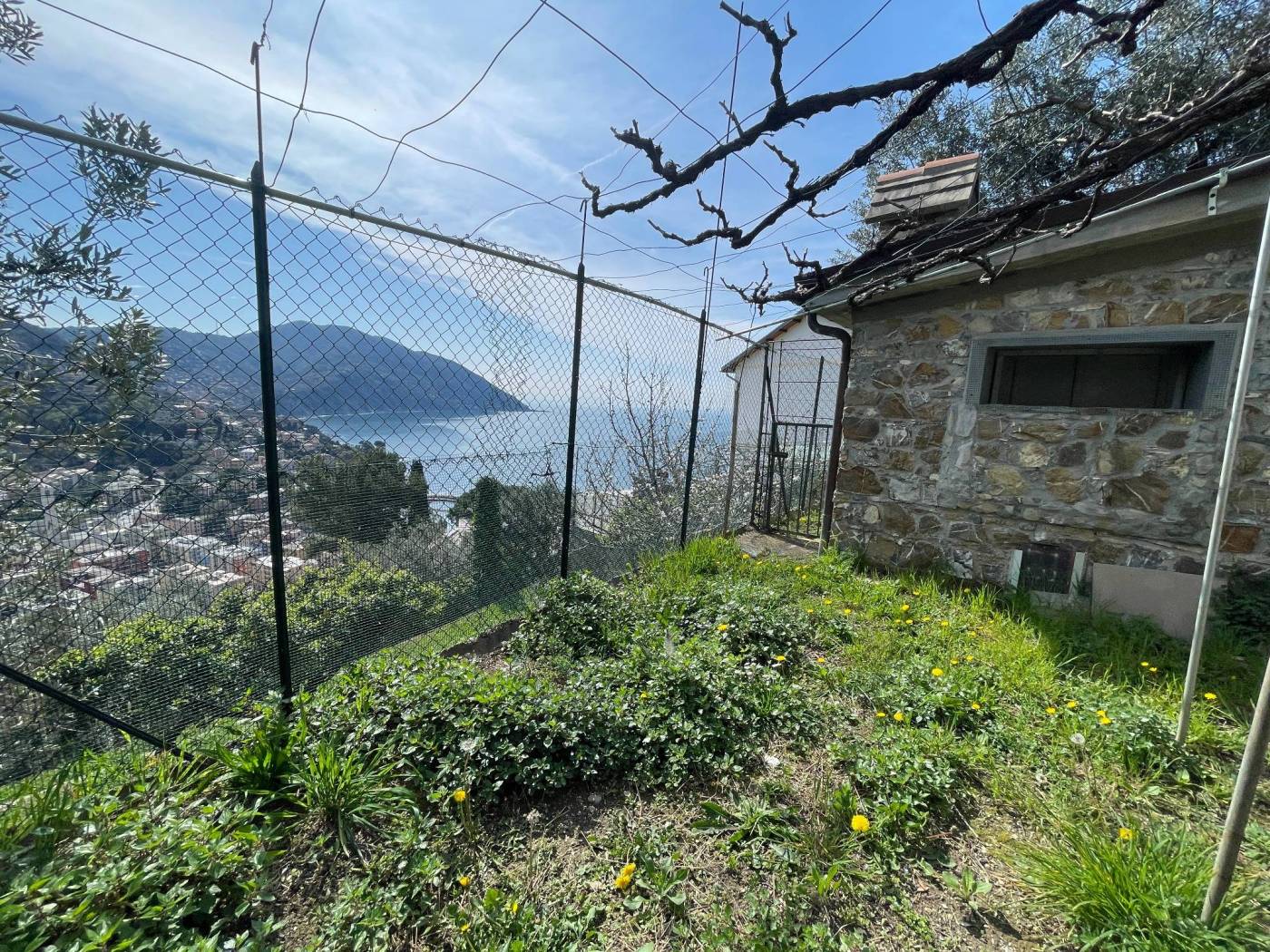 Terreno