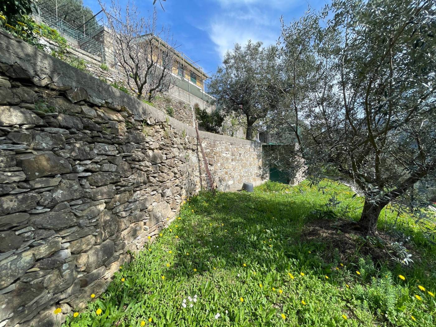 Terreno