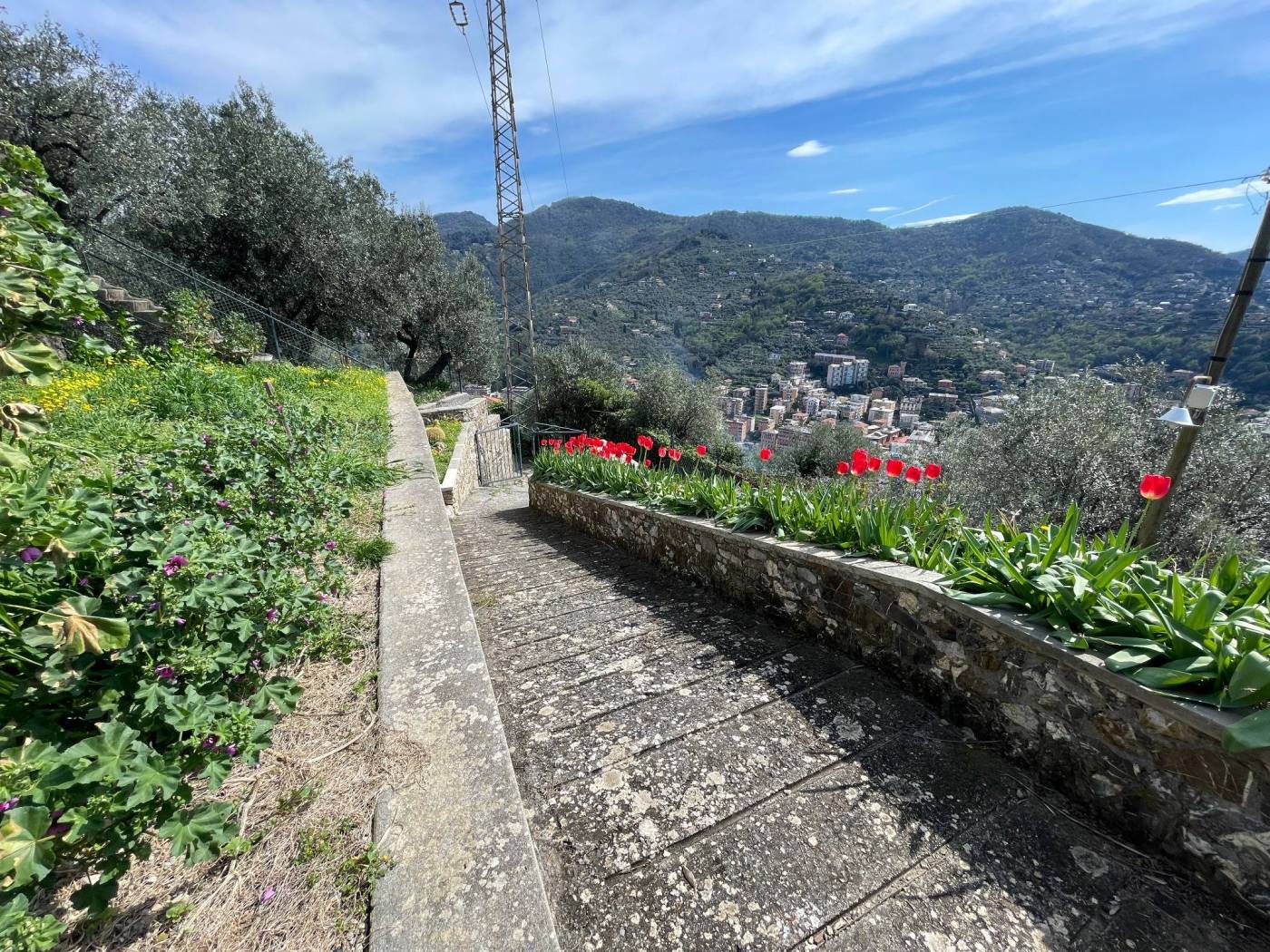 Terreno