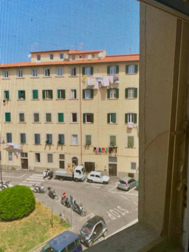 Vista