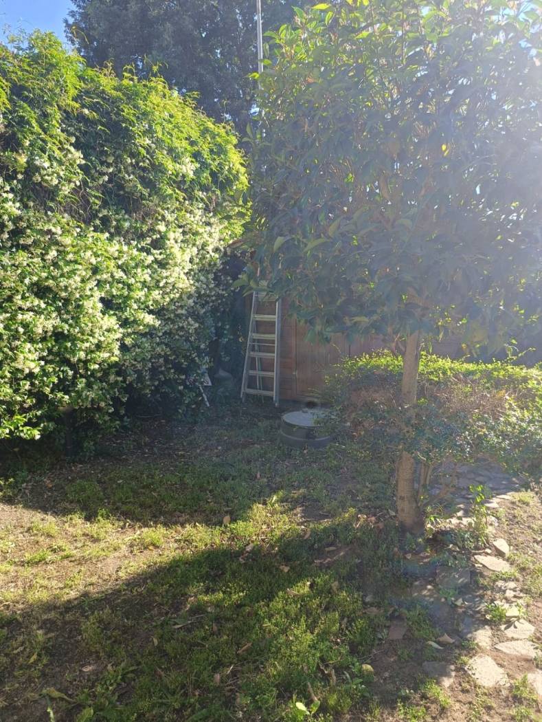 Giardino Giardino