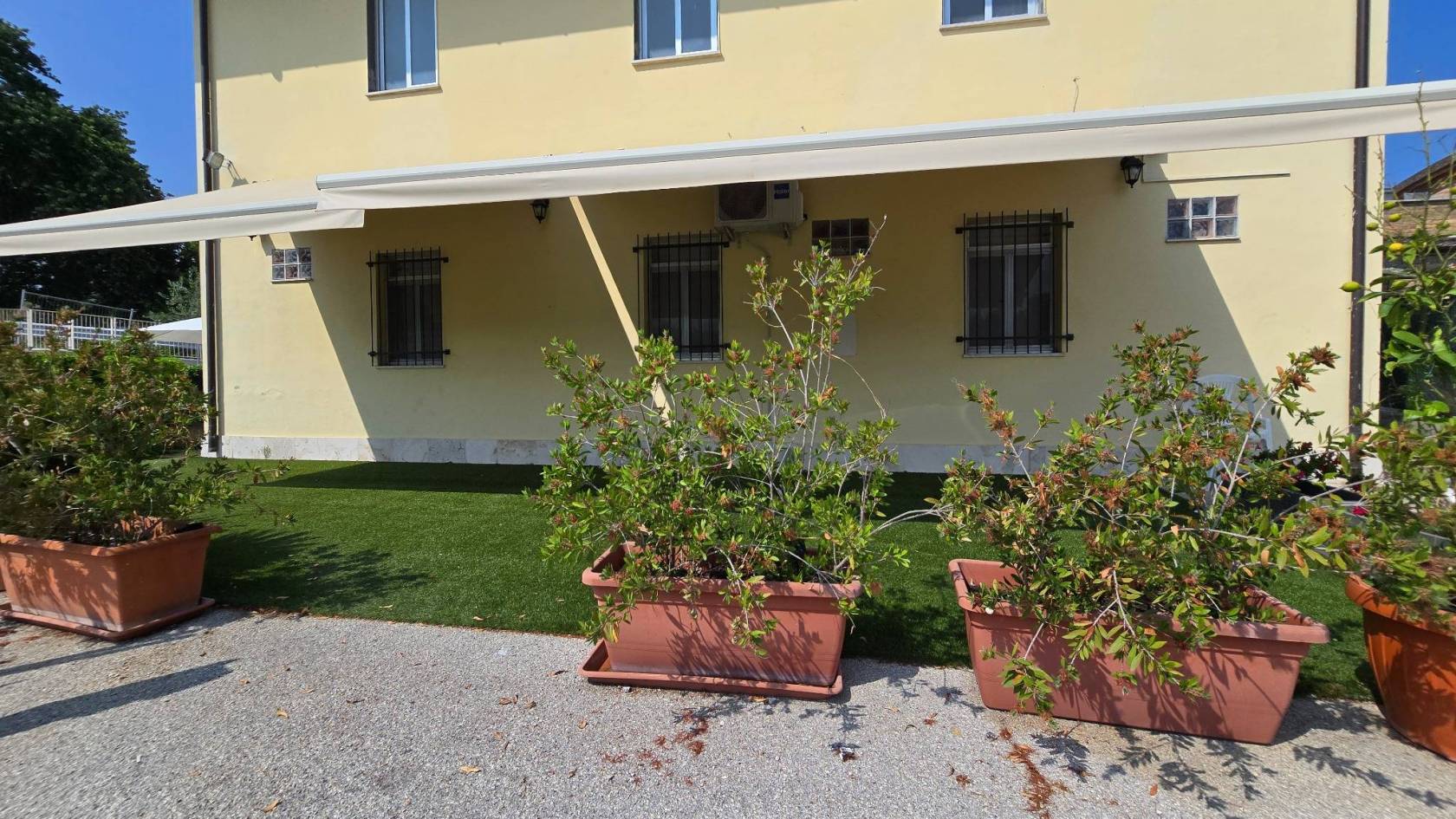 Giardino