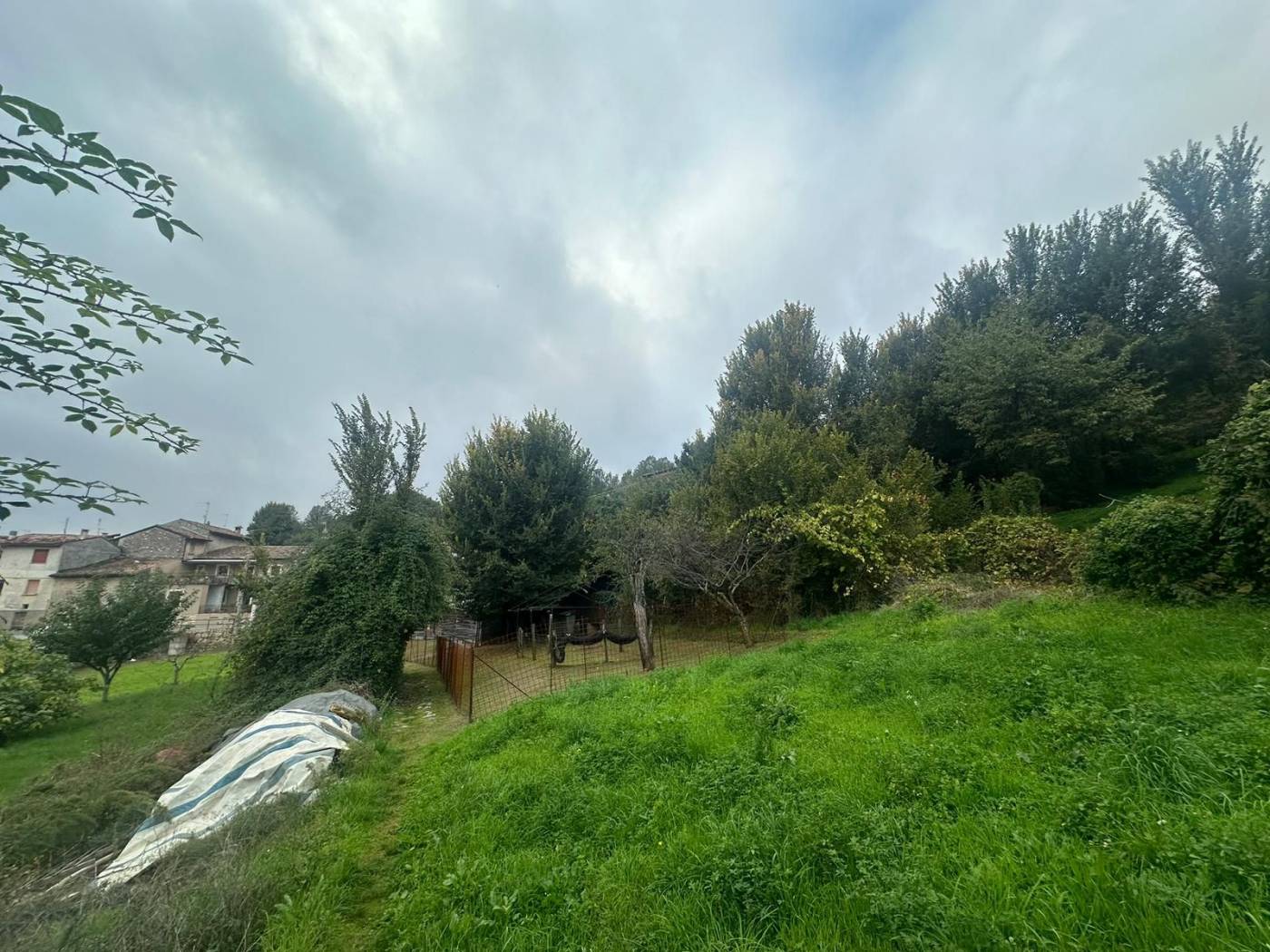 Terreno