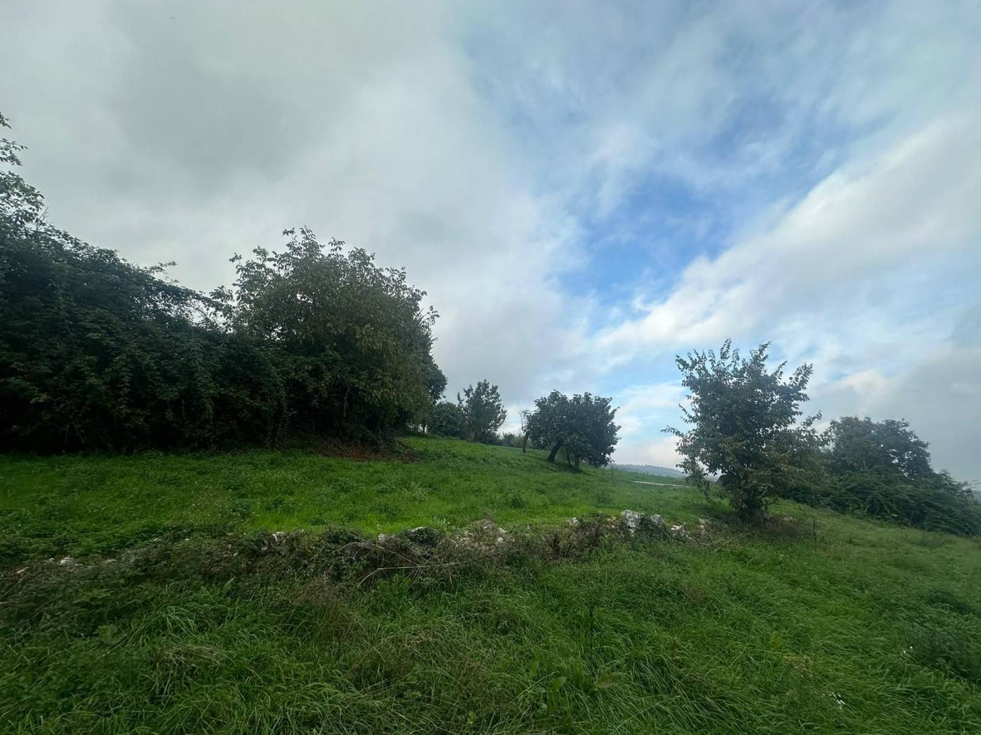 Terreno