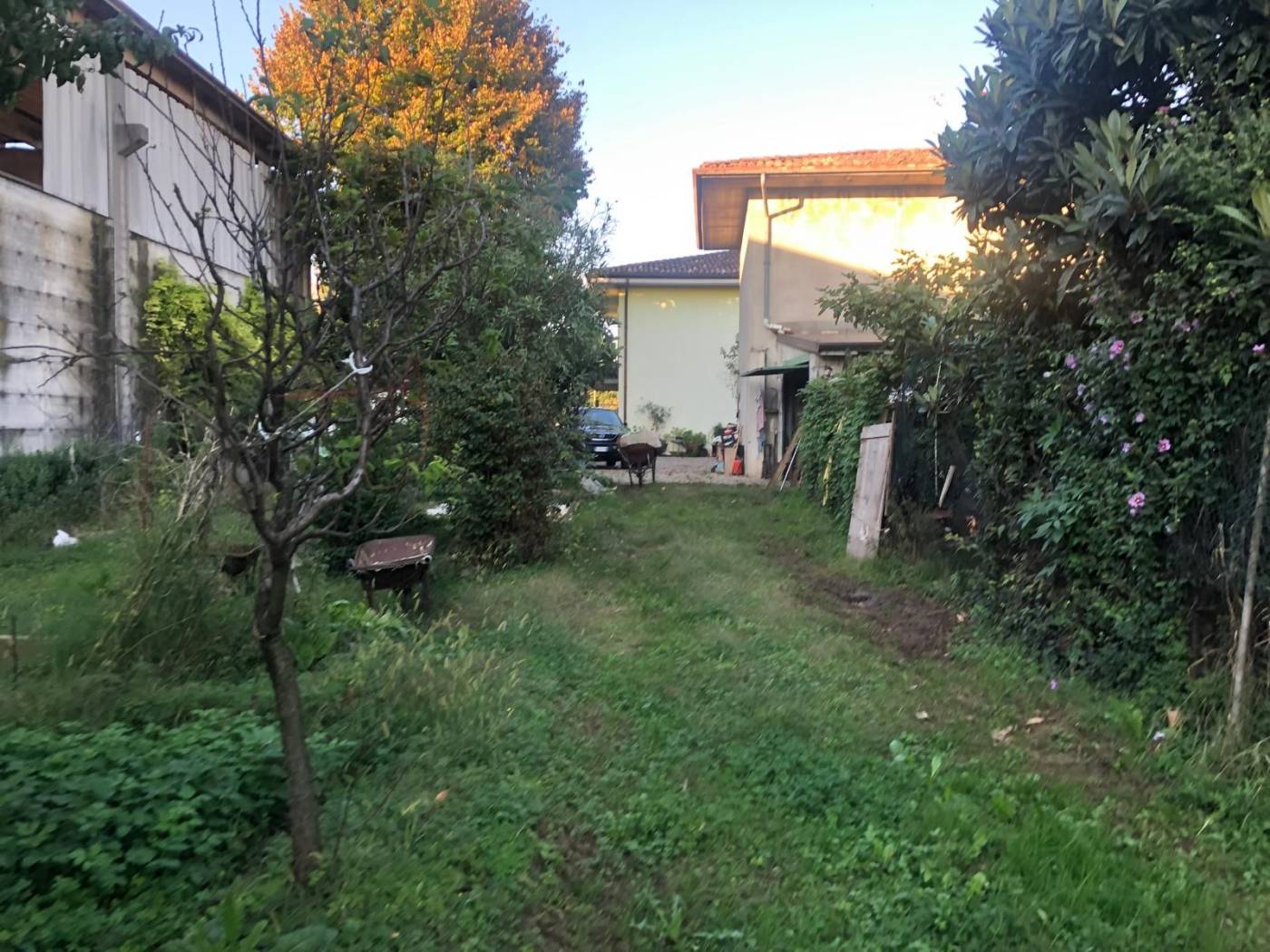 Giardino
