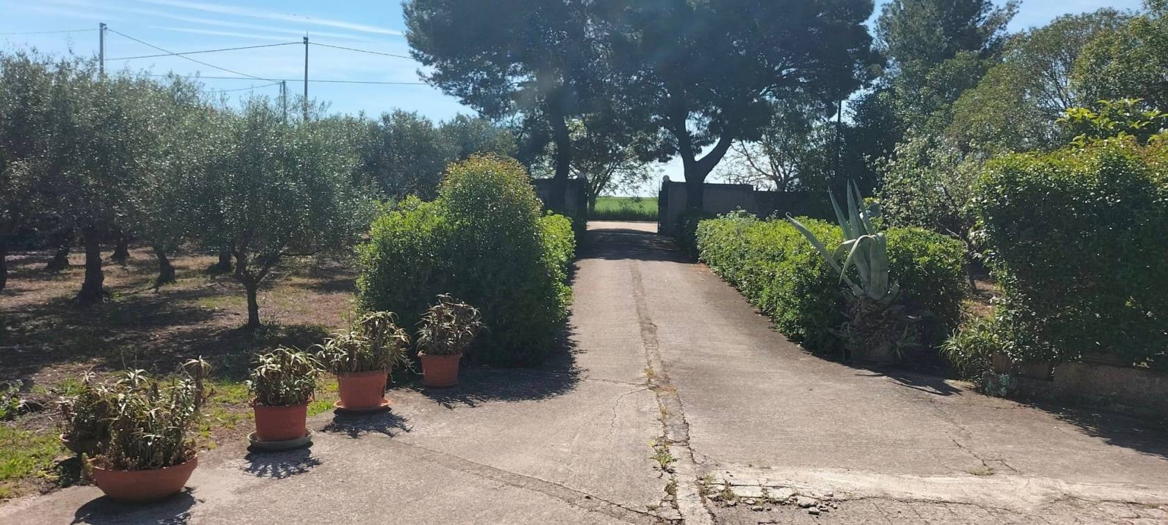 Giardino