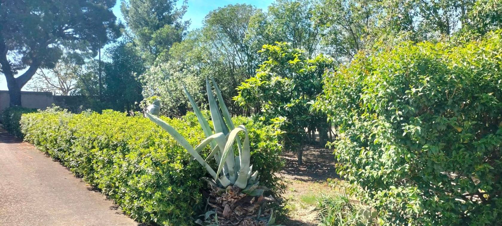 Terreno