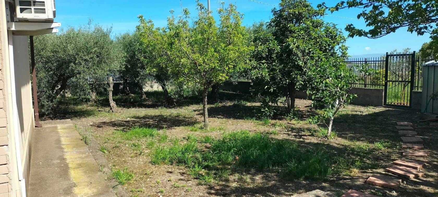Giardino