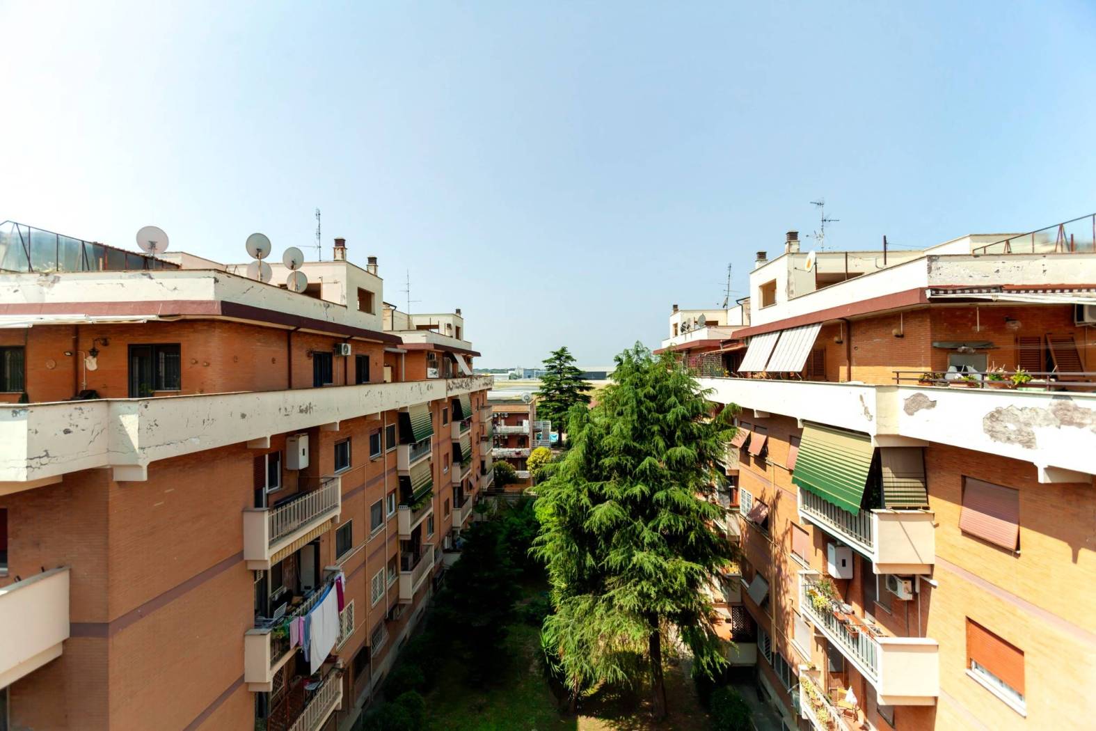 Vista