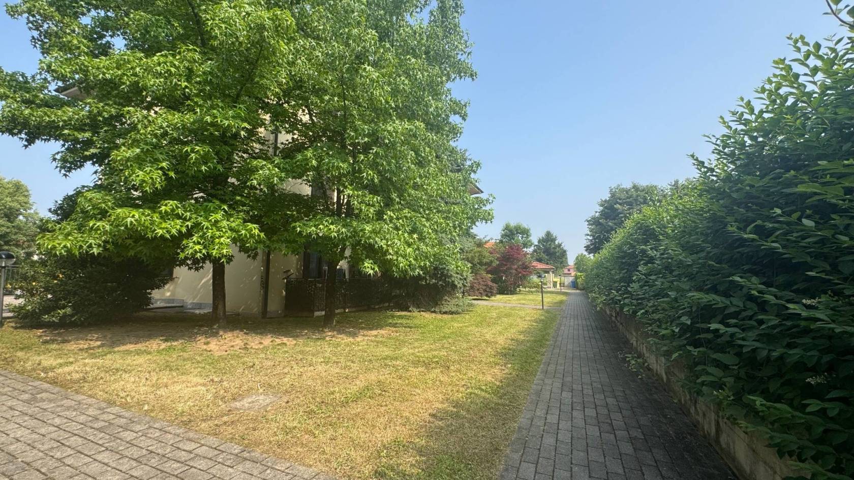 Giardino