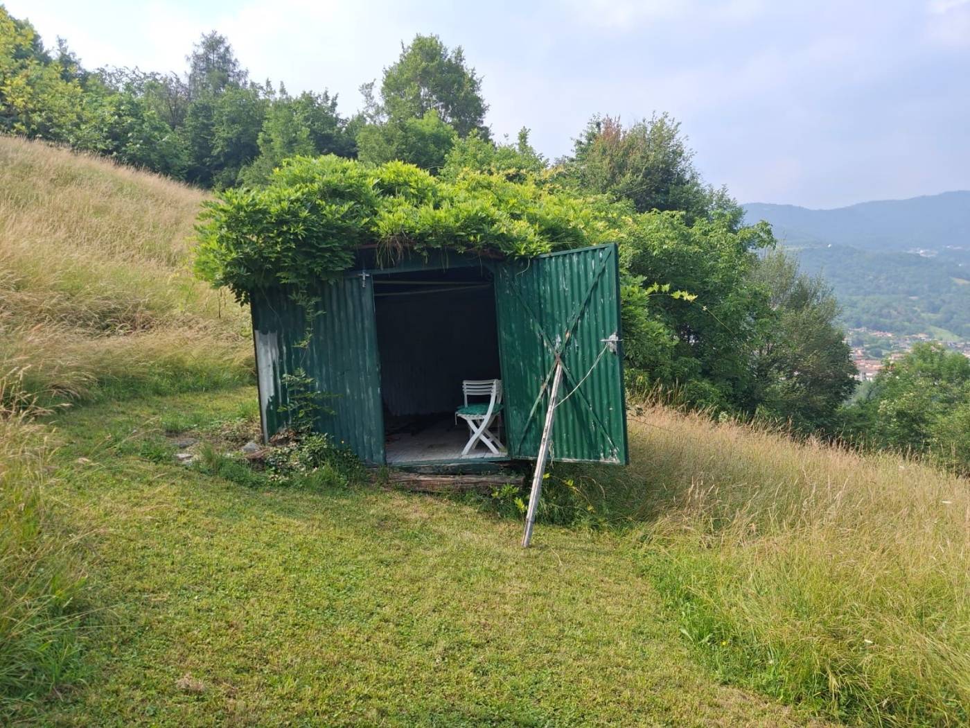 Terreno