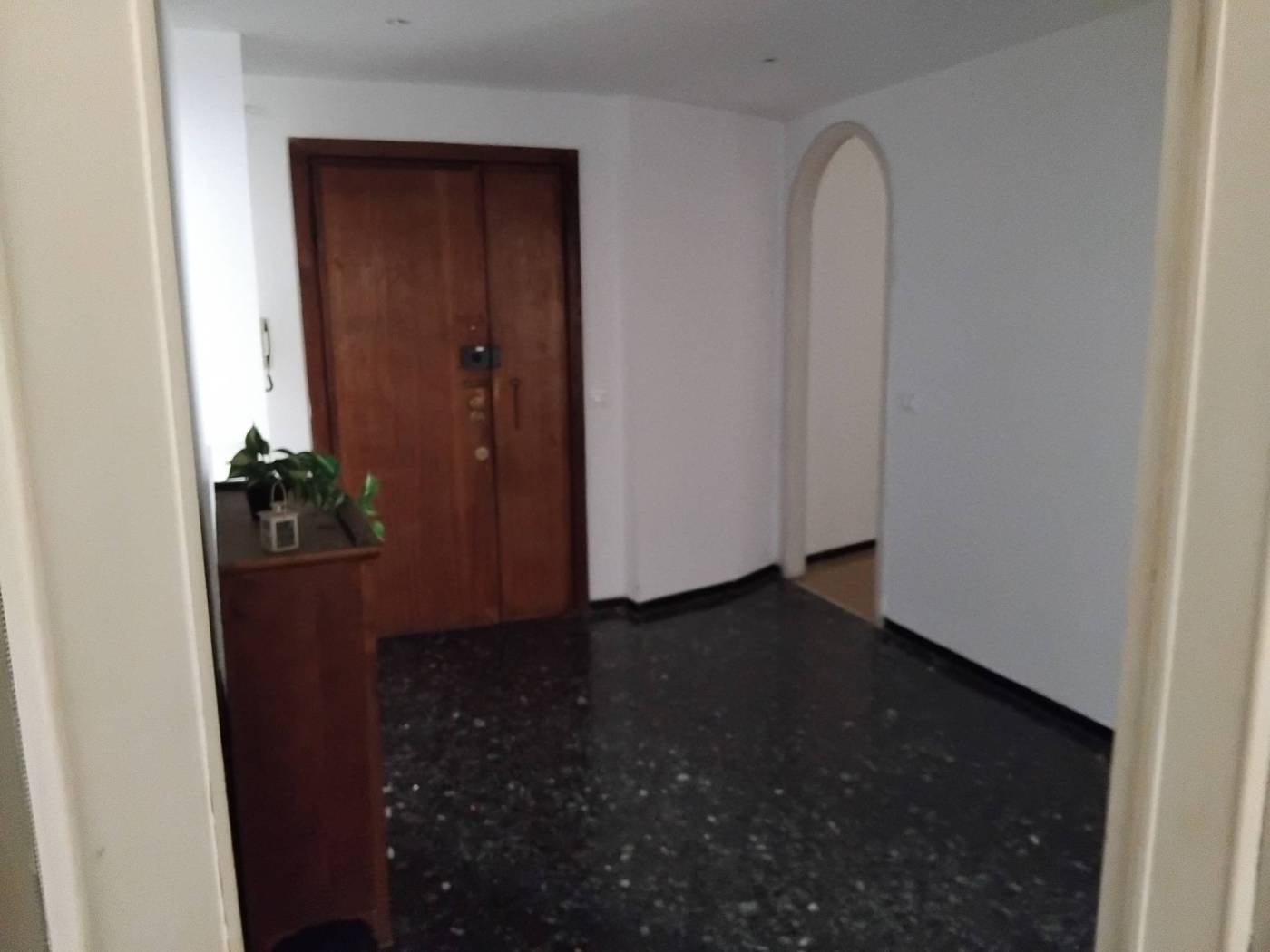 Ingresso