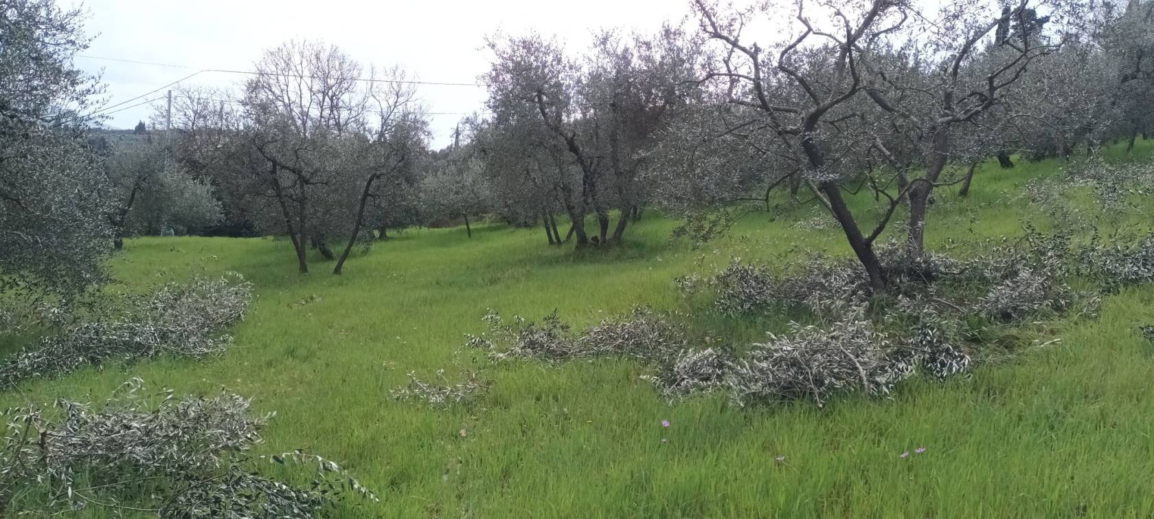 Terreno Terreno