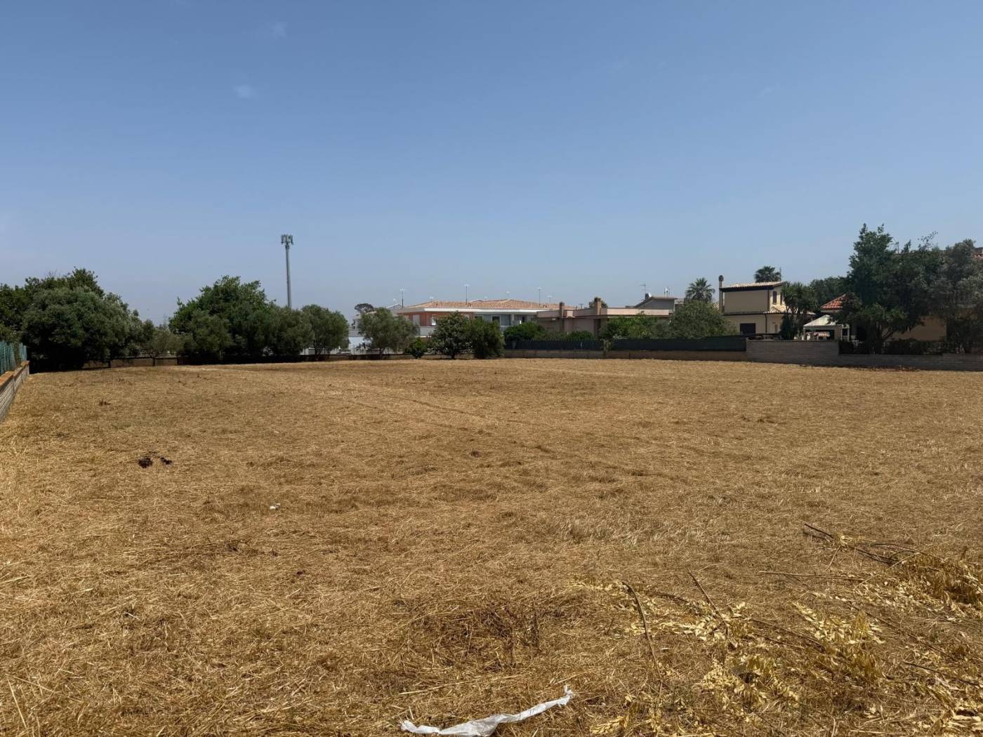 Terreno