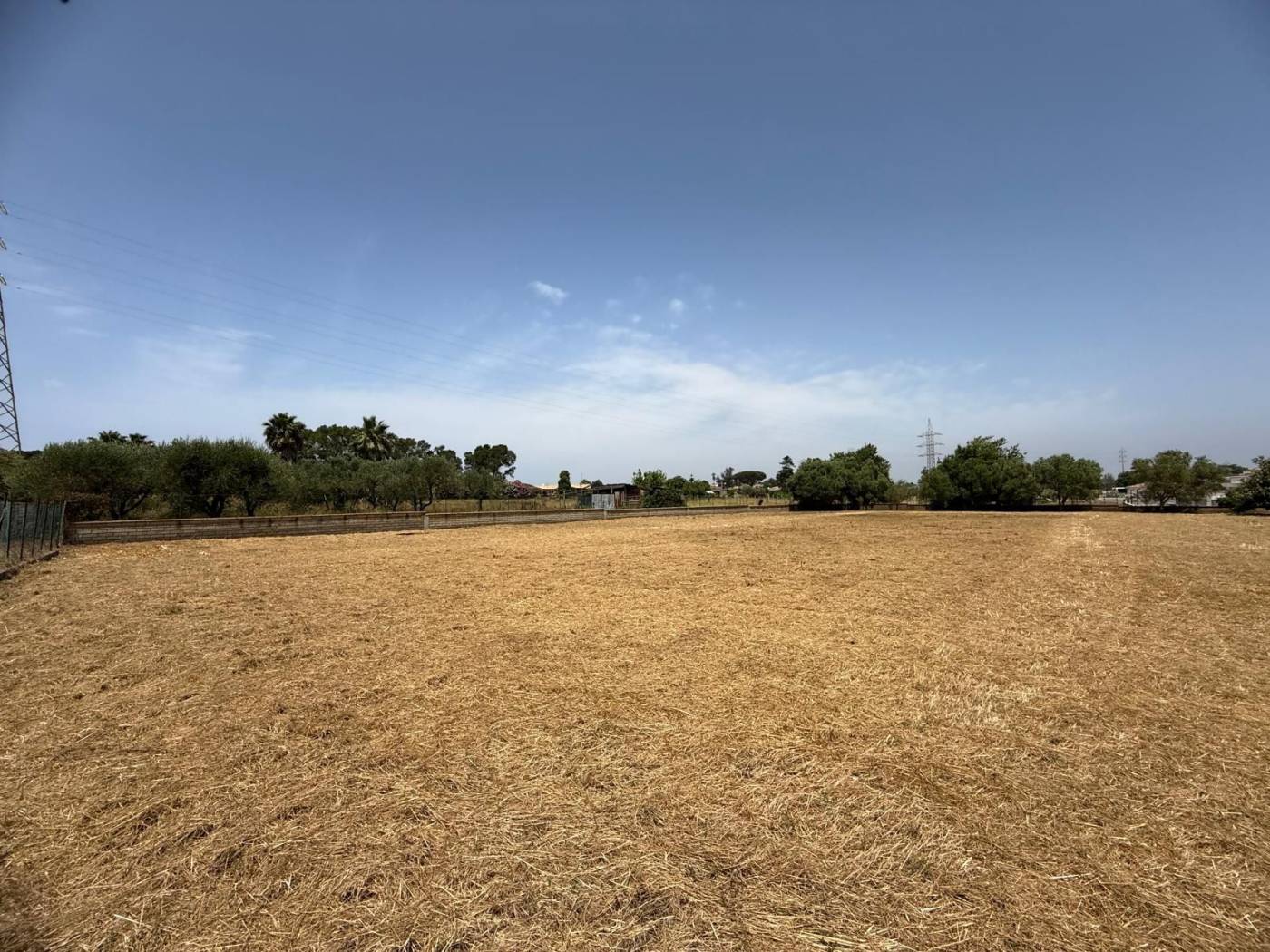 Terreno