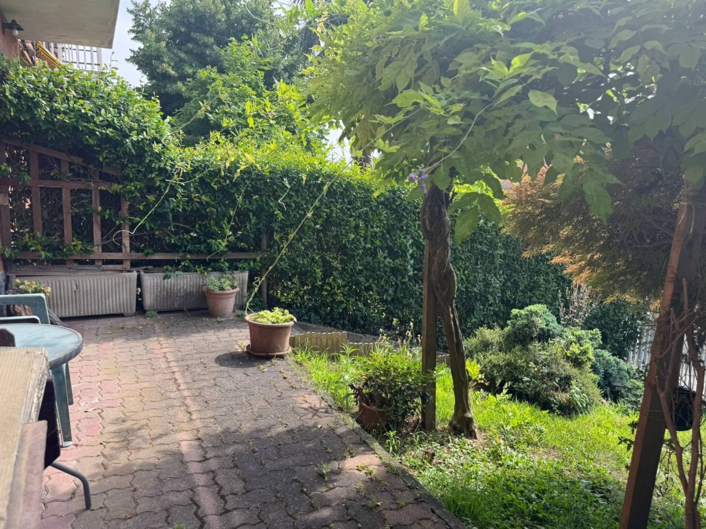 Giardino
