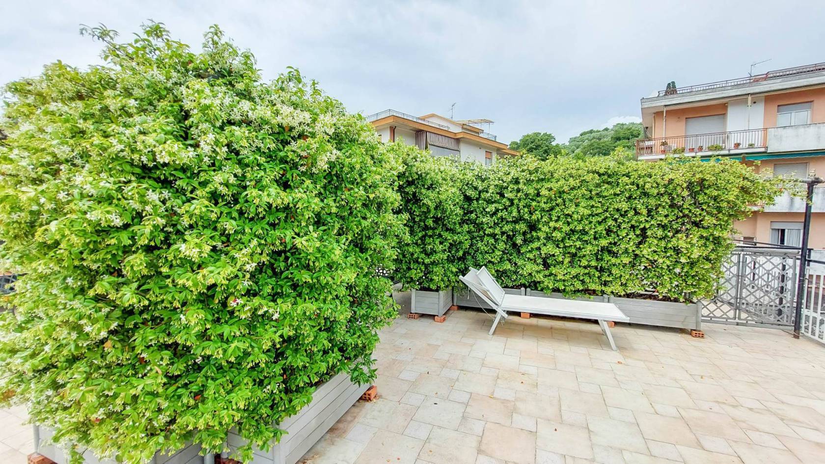 Giardino
