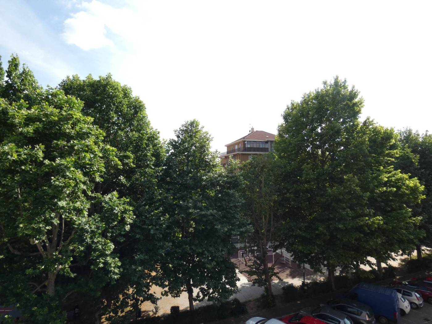 Vista