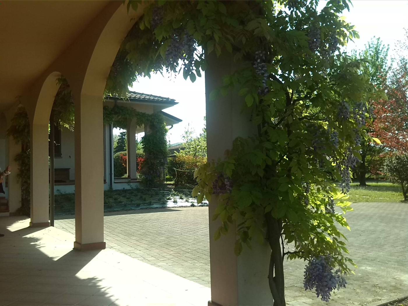 Stabile Multiuso Sì valuta la locazione di un immobile libero, adatto a Casa di Riposo, Hotel per Anziani Autosufficienti, Adatto anche a Palazzina 