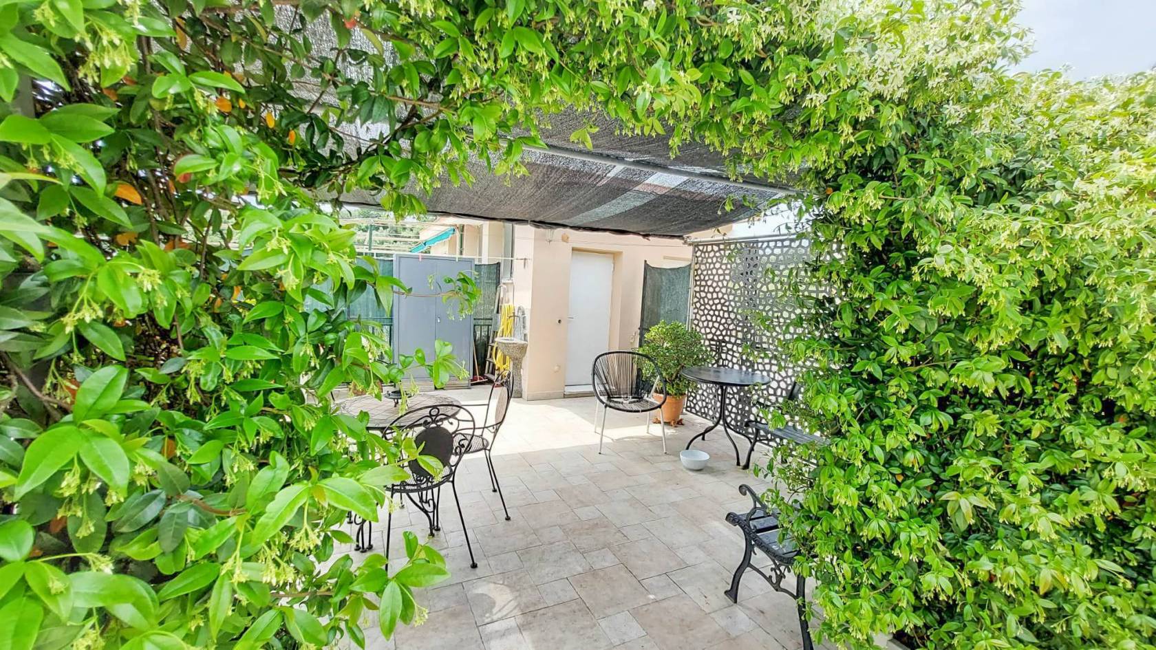 Giardino