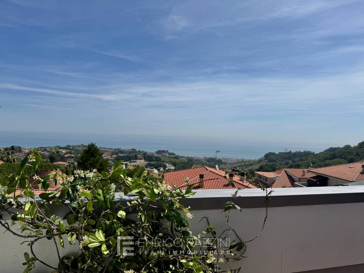 Vista