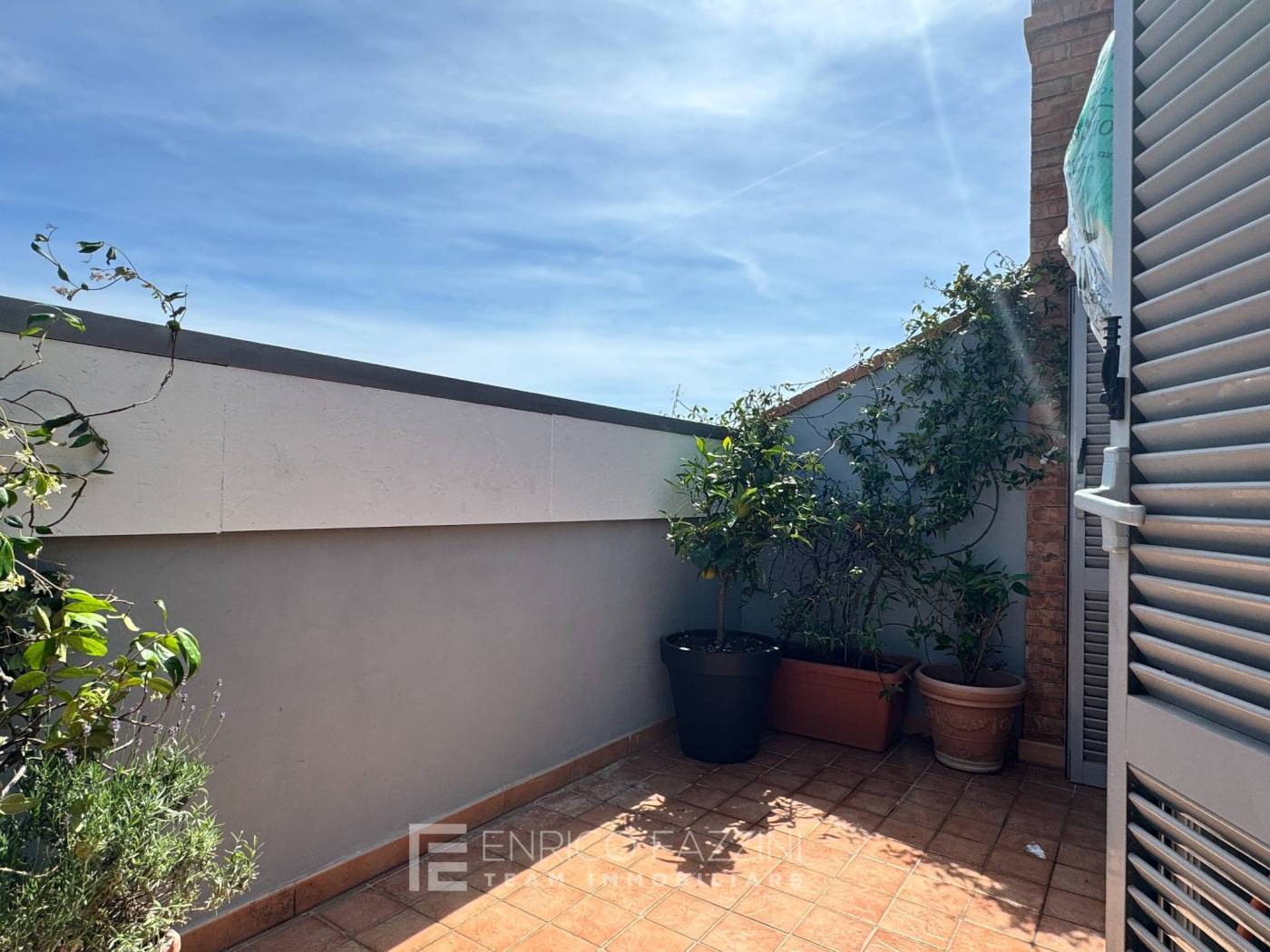 Terrazzo